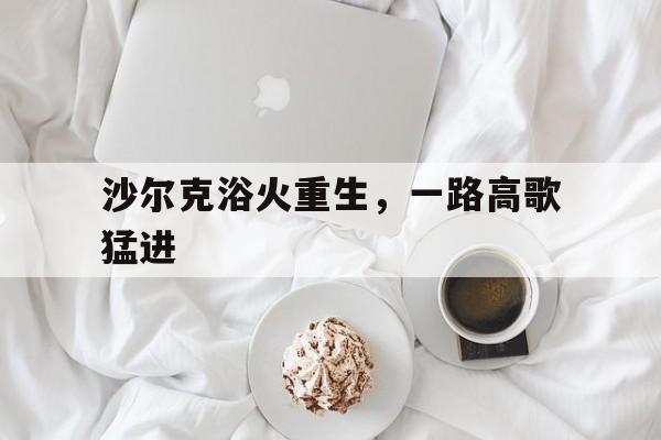 开云体育下载-关于沙尔克浴火重生，一路高歌猛进的信息