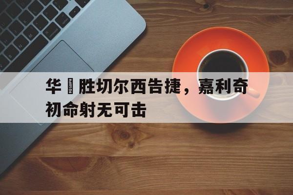开云体育官方网站-华튼胜切尔西告捷，嘉利奇初命射无可击的简单介绍