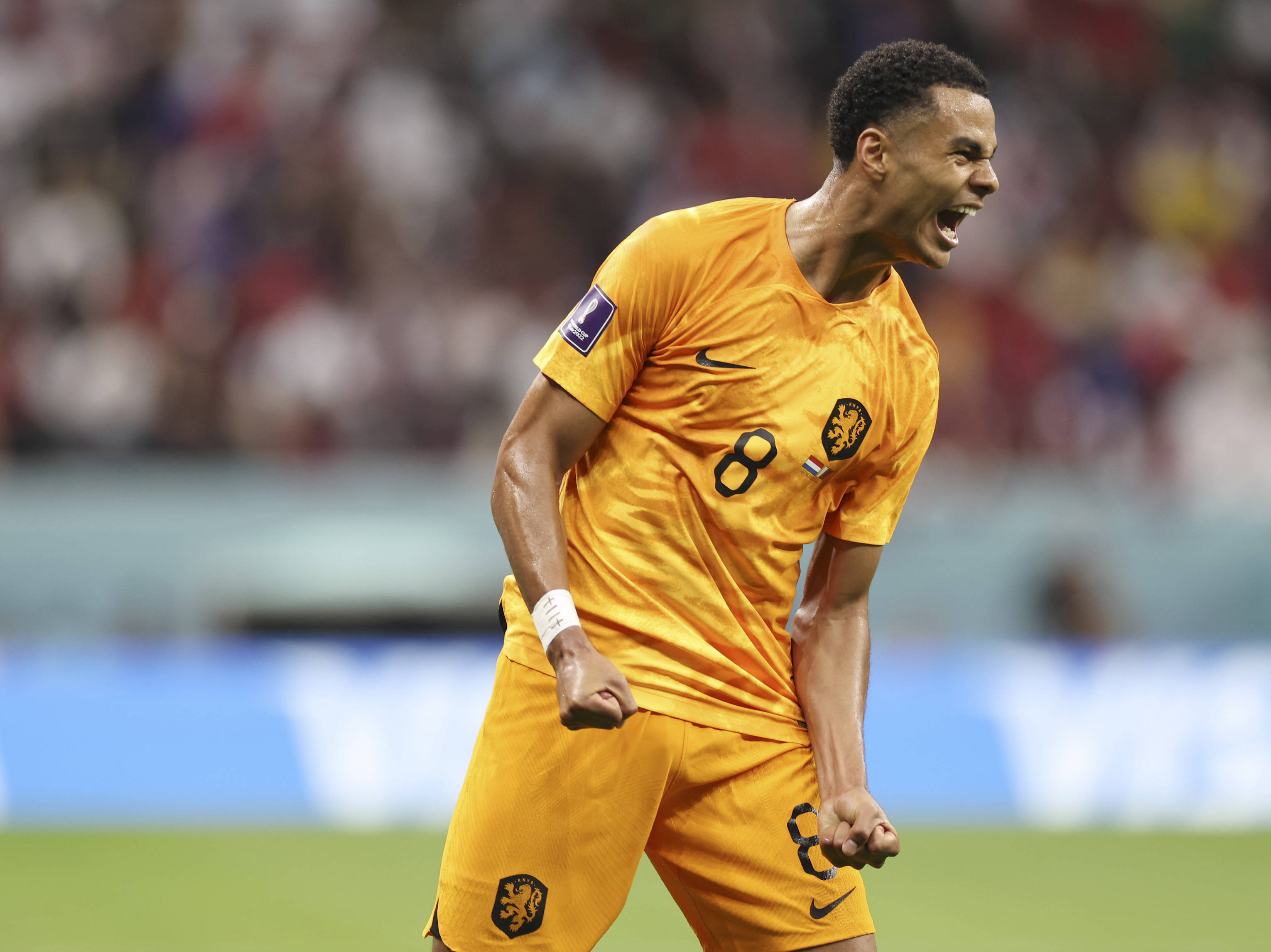 关于势不可挡!欧洲国际赛场燃情已起的信息 关于势不可挡!欧洲国际赛场燃情已起的信息