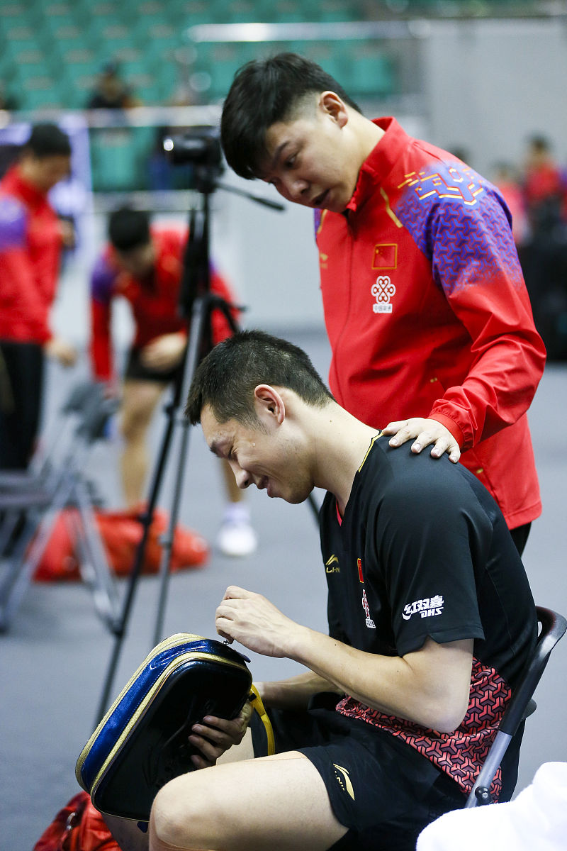 法国队碾压德国队，许昕状态火热的简单介绍